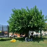 Casa Rustica Vodnjan
