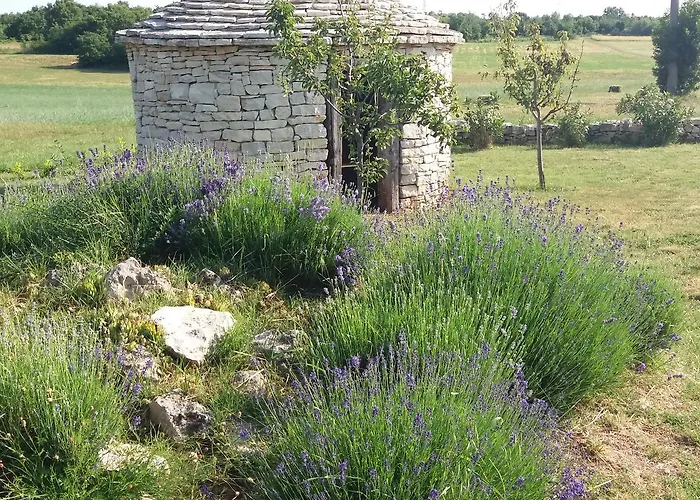 Casa Rustica Vodnjan