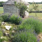 Casa Rustica Vodnjan