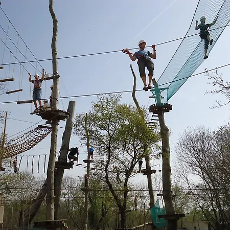 ベッド＆ブレックファースト カーサ ラスティカ 4* ボドニャン