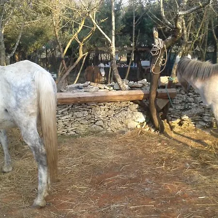 ベッド＆ブレックファースト カーサ ラスティカ ベッド・アンド・ブレックファスト 4*