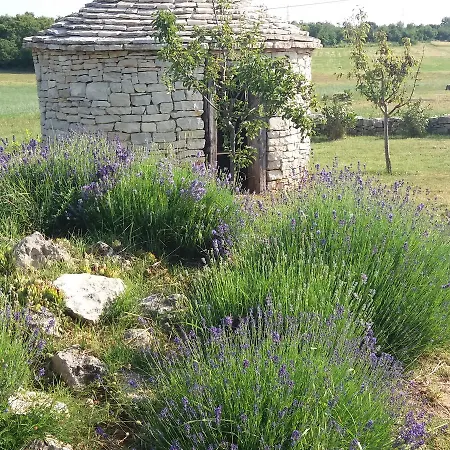 Casa Rustica Vodnjan