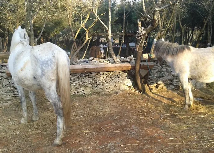 Casa Rustica Bed & Breakfast 4*